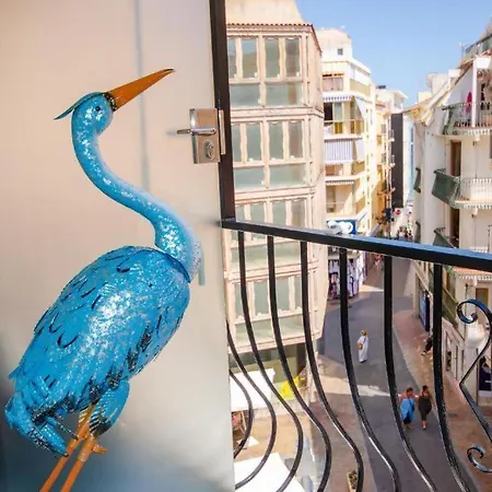 Apartment Oasis Palm Old Town Benidorm